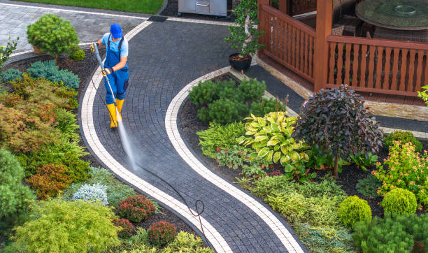 Best Roof Power Washing Services  in Highspire, PA